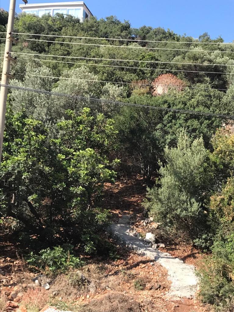 Green Hill Kas Kaş Exterior photo